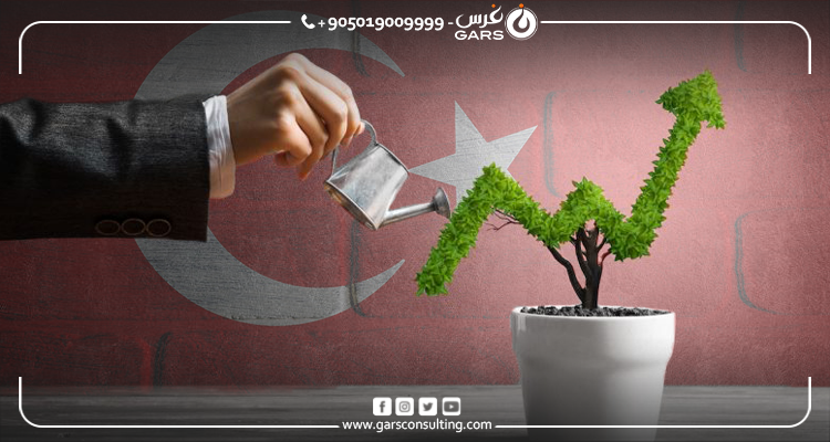 الجنسية التركية للمستثمرين: الشروط والأوراق اللازمة