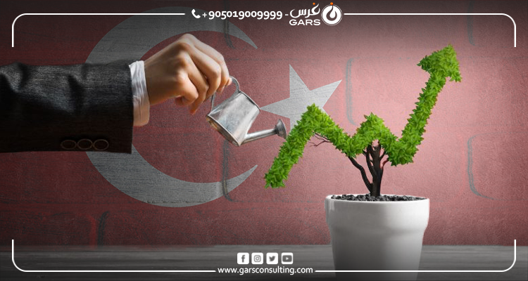 الحصول على الجنسية التركية للمستثمرين: الشروط والإجراءات الجنسية التركية للمستثمرين: الشروط والأوراق اللازمة