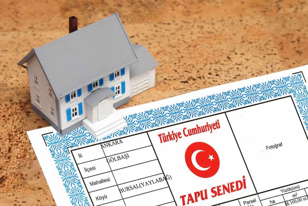 اطلاعاتی همه جانبه پیرامون تاپو در ترکیه تاپو در ترکیه چیست؟
